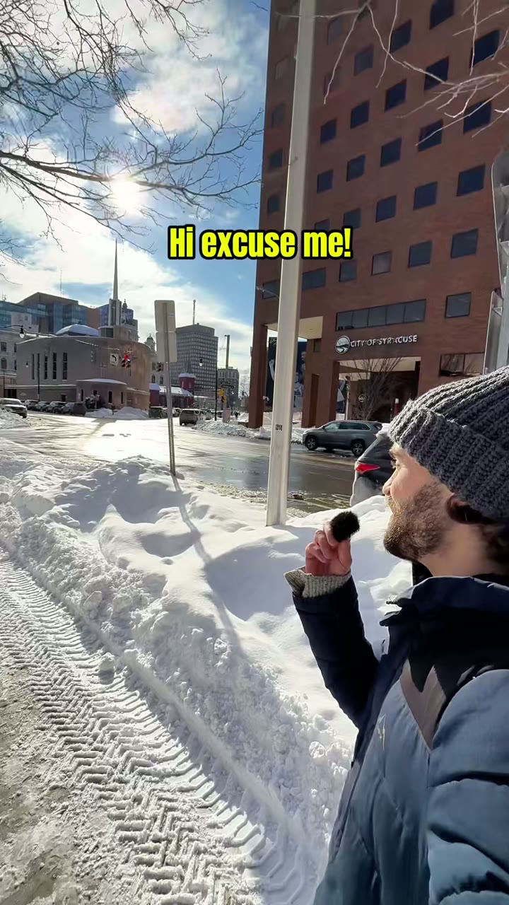 Find the Cat: Scripted Street Interview